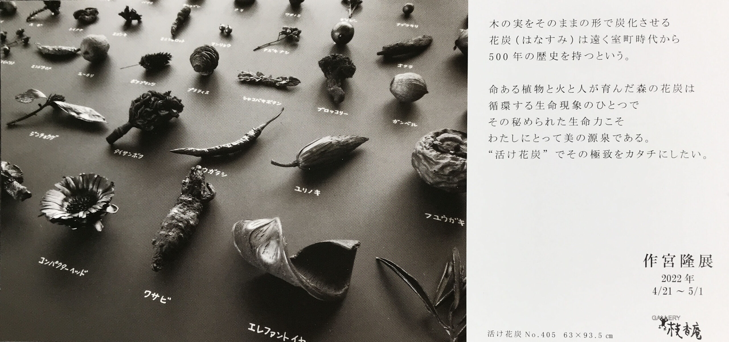 会期終了 作宮隆 展 活け花炭 はなすみ の世界 ギャラリー枝香庵 銀座３丁目 Online Vita News